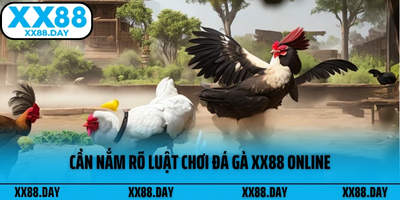 can-nam-ro-luat-choi-da-ga-xx88-online