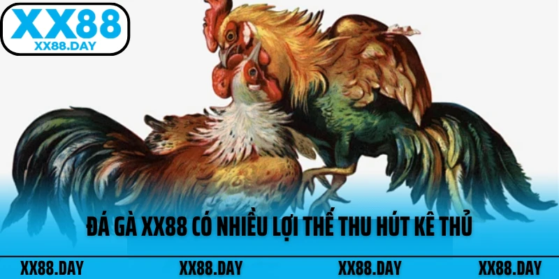 da-ga-xx88-co-nhieu-loi-the-thu-hut-ke-thu