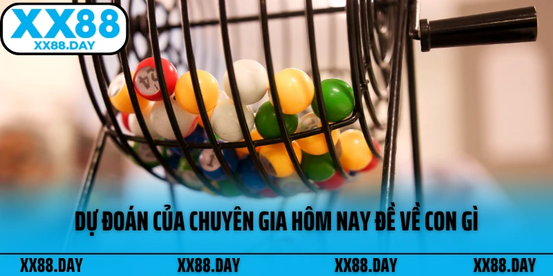 du-doan-cua-chuyen-gia-hom-nay-de-ve-con-gi