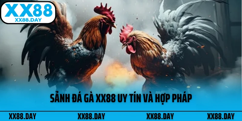 sanh-da-ga-xx88-uy-tin-va-hop-phap